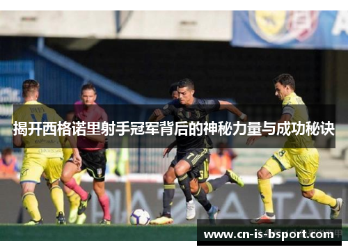 揭开西格诺里射手冠军背后的神秘力量与成功秘诀