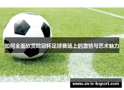 如何全面欣赏欧冠杯足球赛场上的激情与艺术魅力