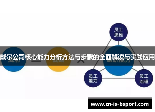 戴尔公司核心能力分析方法与步骤的全面解读与实践应用