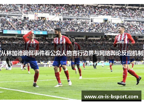 从林加德调侃事件看公众人物言行边界与网络舆论反应机制