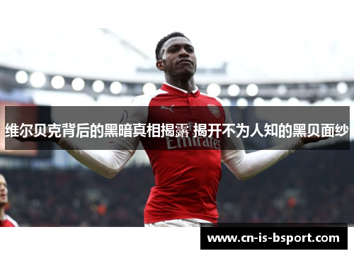 维尔贝克背后的黑暗真相揭露 揭开不为人知的黑贝面纱