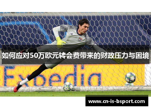 如何应对50万欧元转会费带来的财政压力与困境