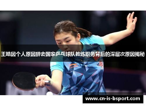 王皓因个人原因辞去国家乒乓球队教练职务背后的深层次原因揭秘