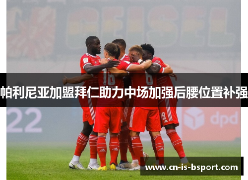 帕利尼亚加盟拜仁助力中场加强后腰位置补强 帕利尼亚加盟拜仁助力中场加强后腰位置补强